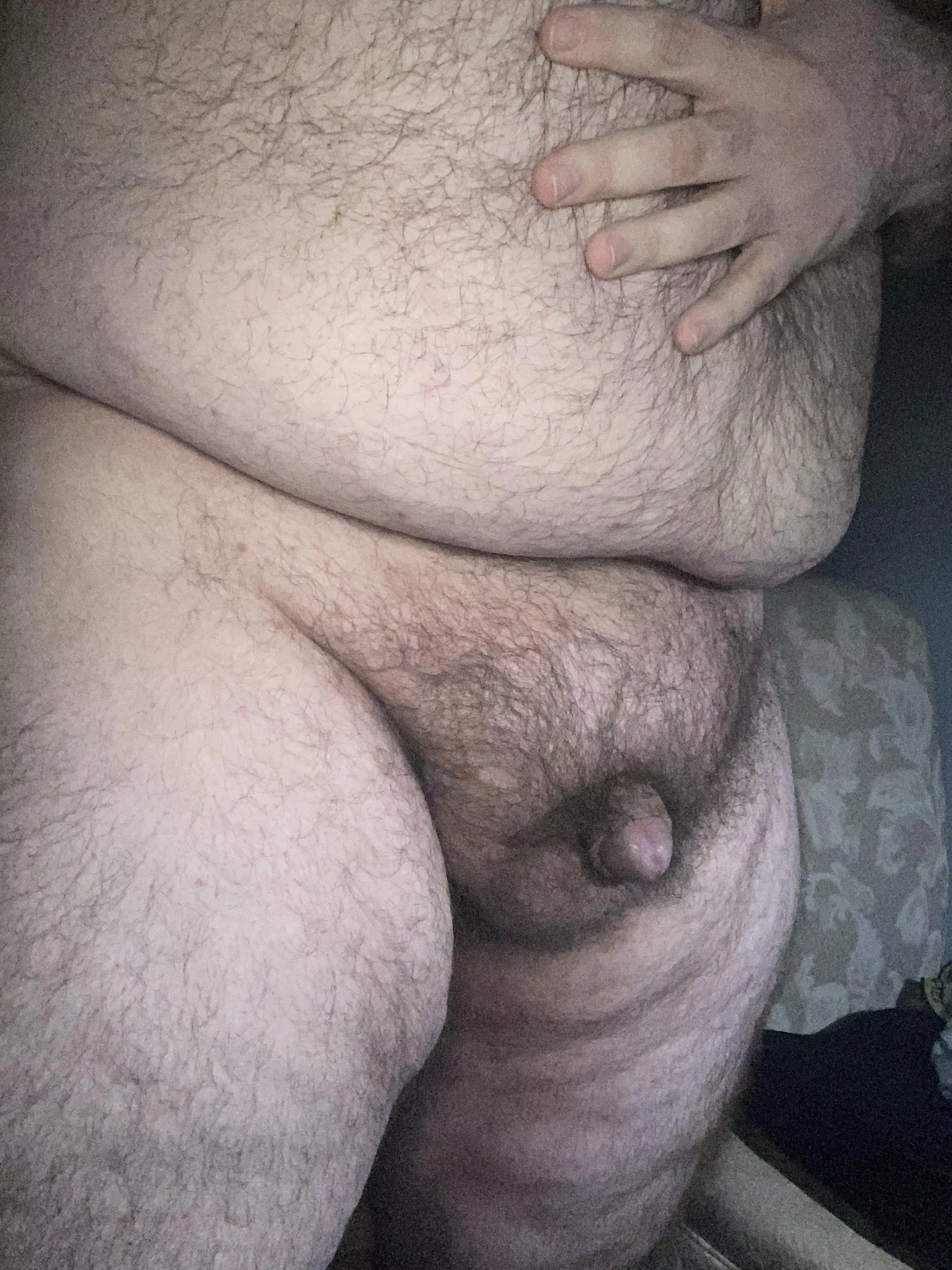 say hello 🐻