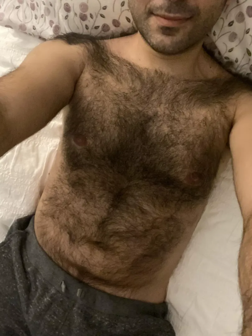 sc h_otter22