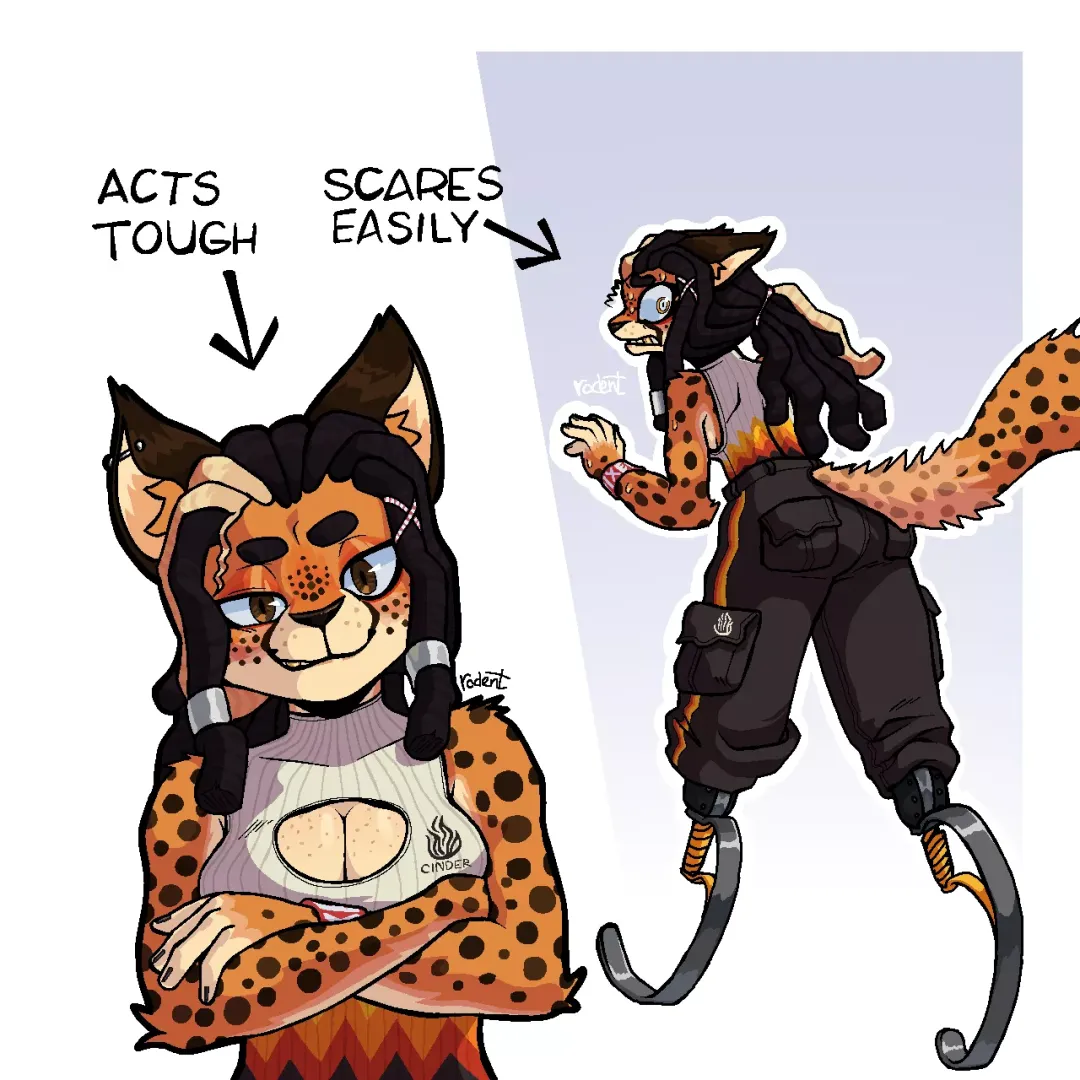 scaredy cat