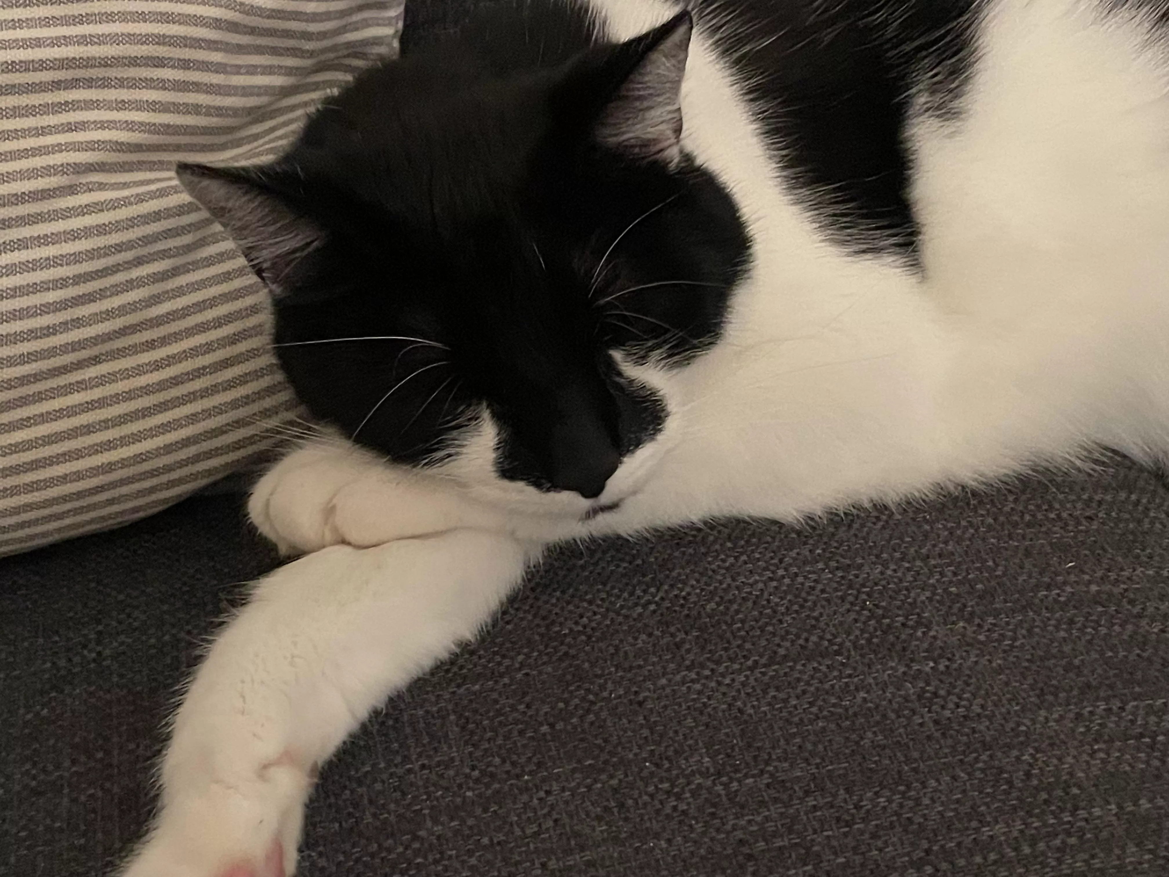 Schlaf der Gerechten