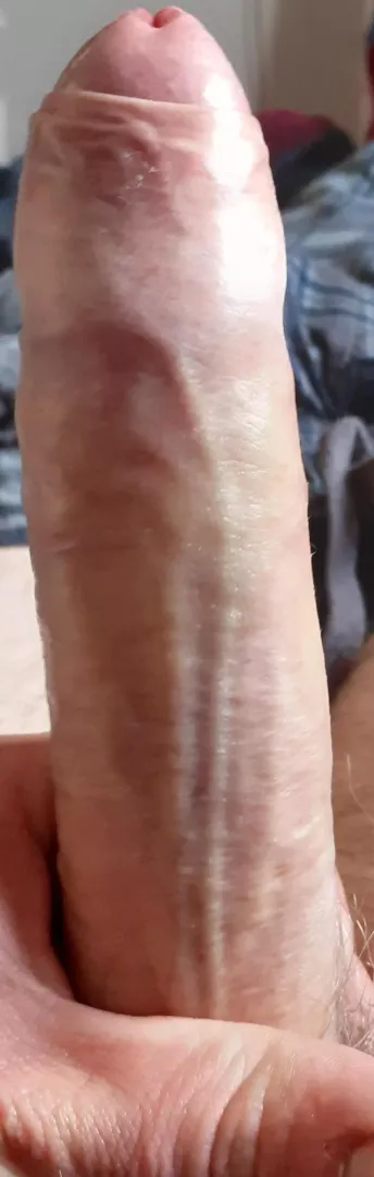 Scottish cock seeks friends