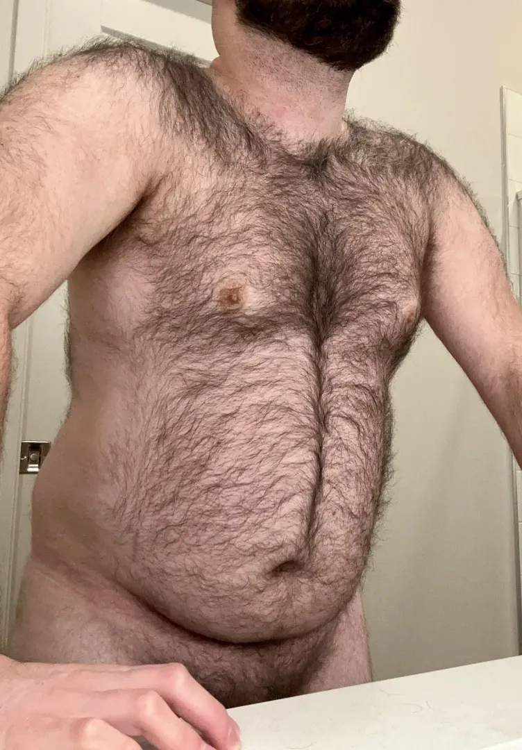 Scruffy bear on a Sunday morning