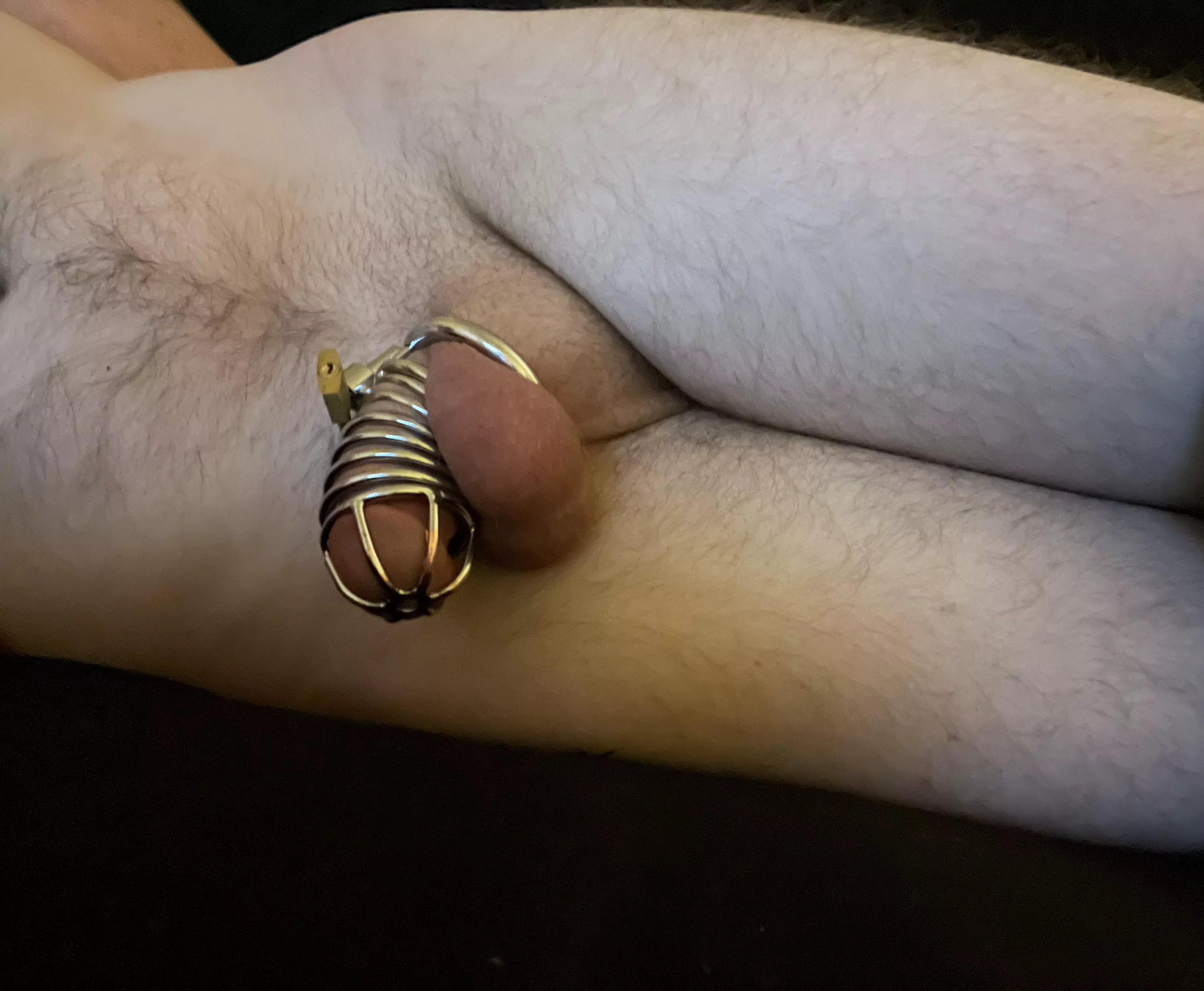 Second day locked with no orgasm