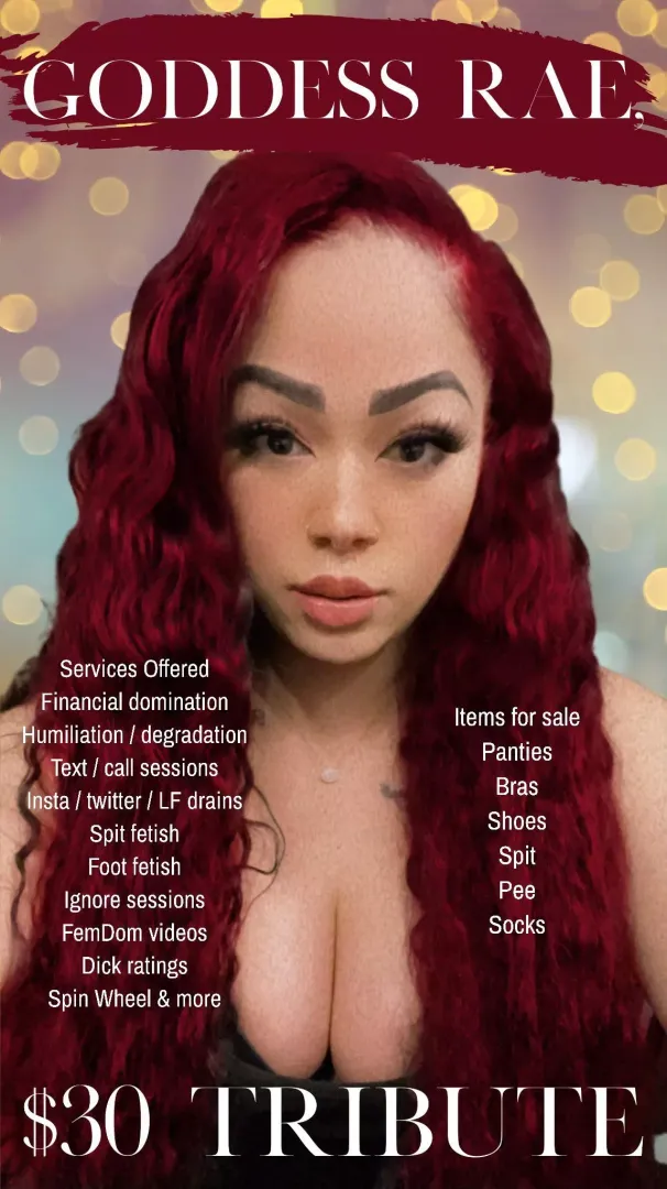 Seeking paypig