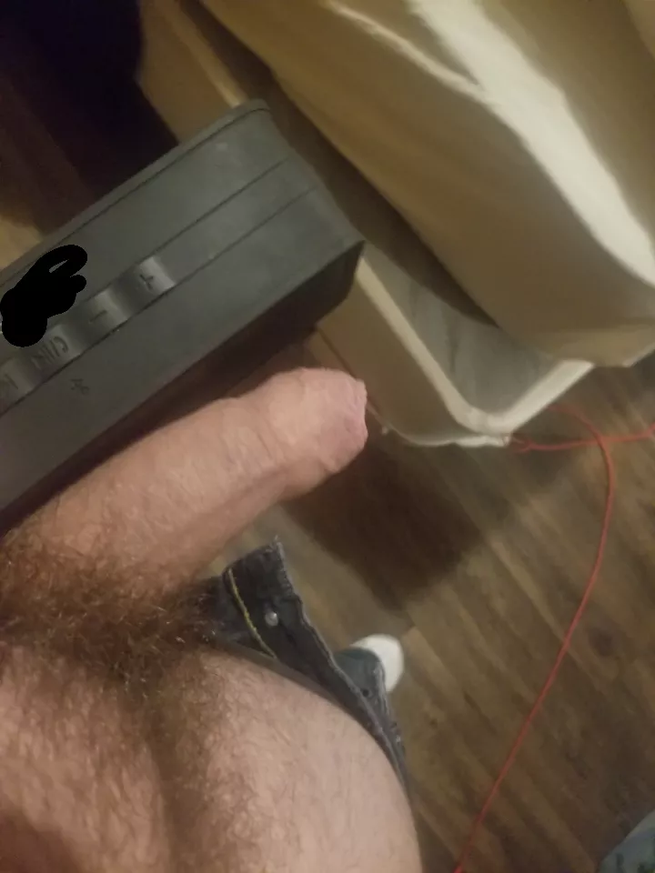 semi hard uncut white cock what do you think
