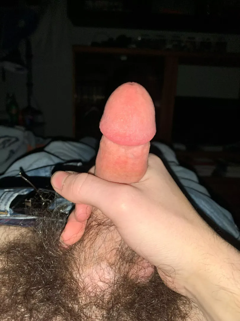 Send me your hairy cocks in my dms