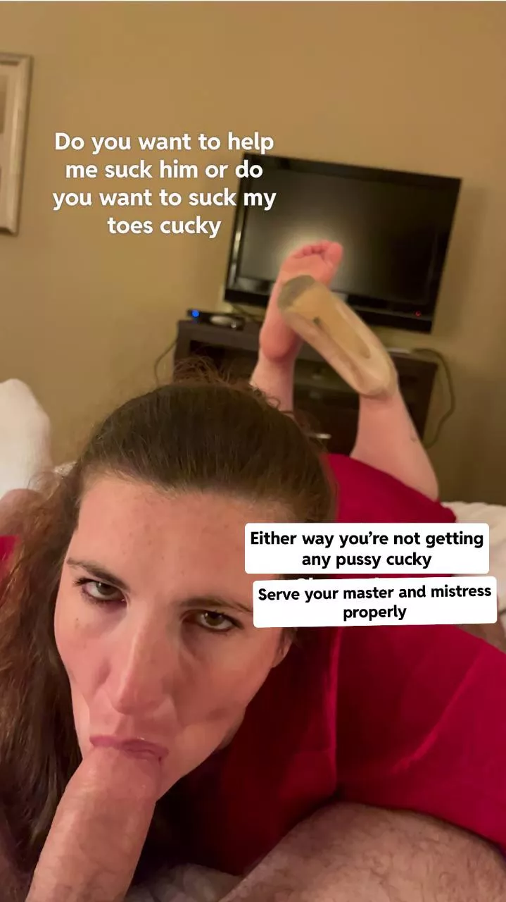 Serve your master and mistress like a good boi