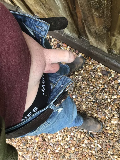 Sexy softie?