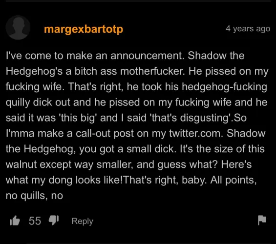 Shadow the hedgehog 