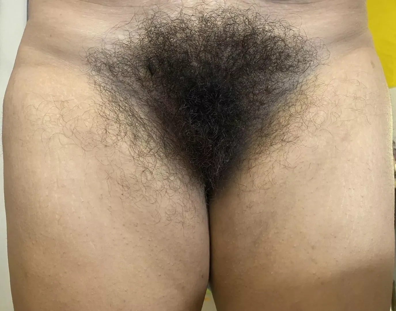 Shag