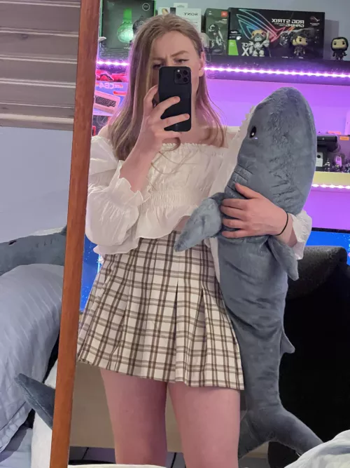 🦈shark🦈