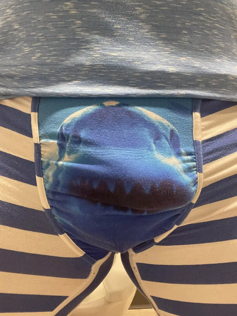 Shark neato