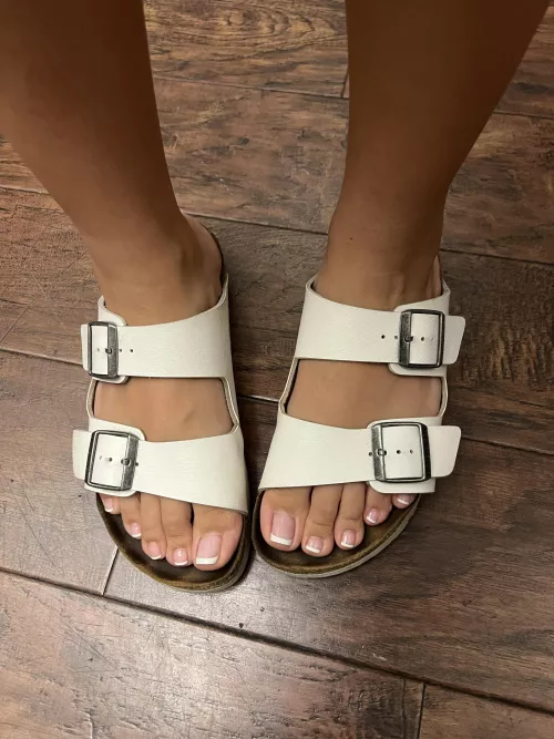 She stepped out wearing these & told me to take a pic. Now I’m all horny going into the office… Rate these Birkenstock feet?