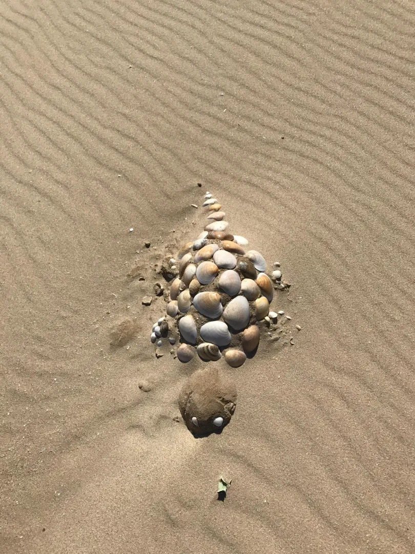 Shell art at Meia Prai, Portugal
