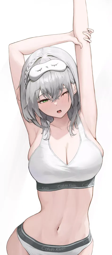 Shirogane Noel [Hololive]