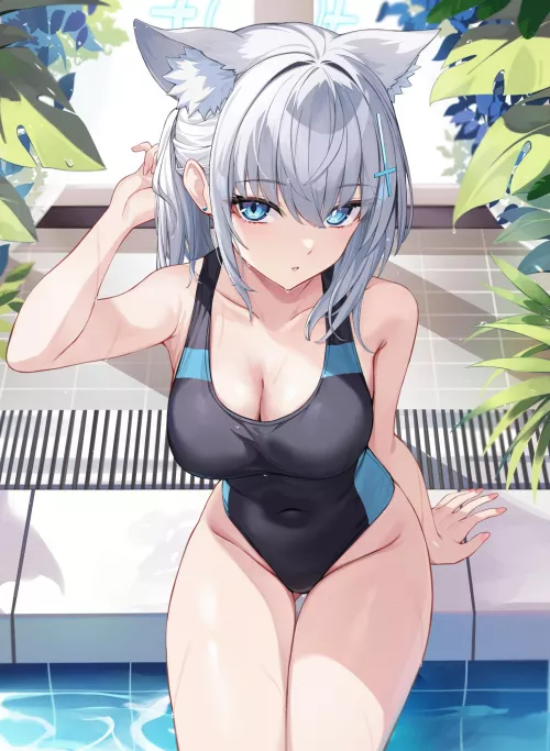 Shiroko