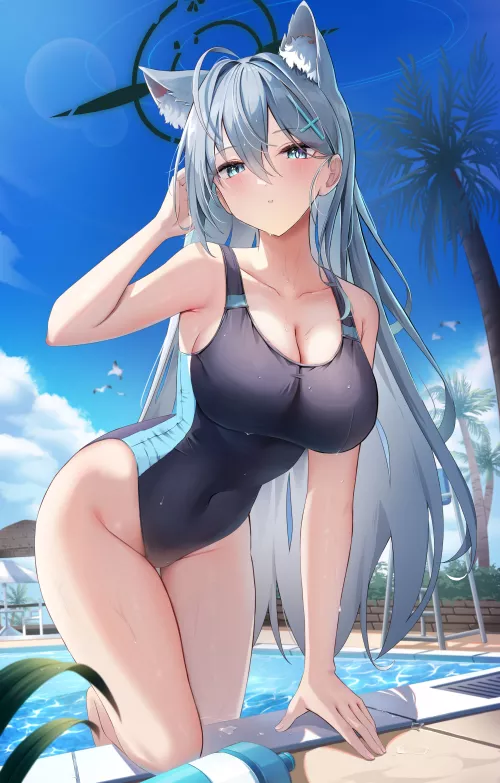 Shiroko Terror [Blue Archive]