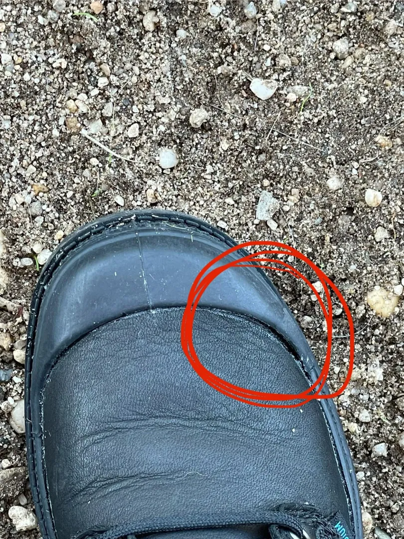 Shoe glue