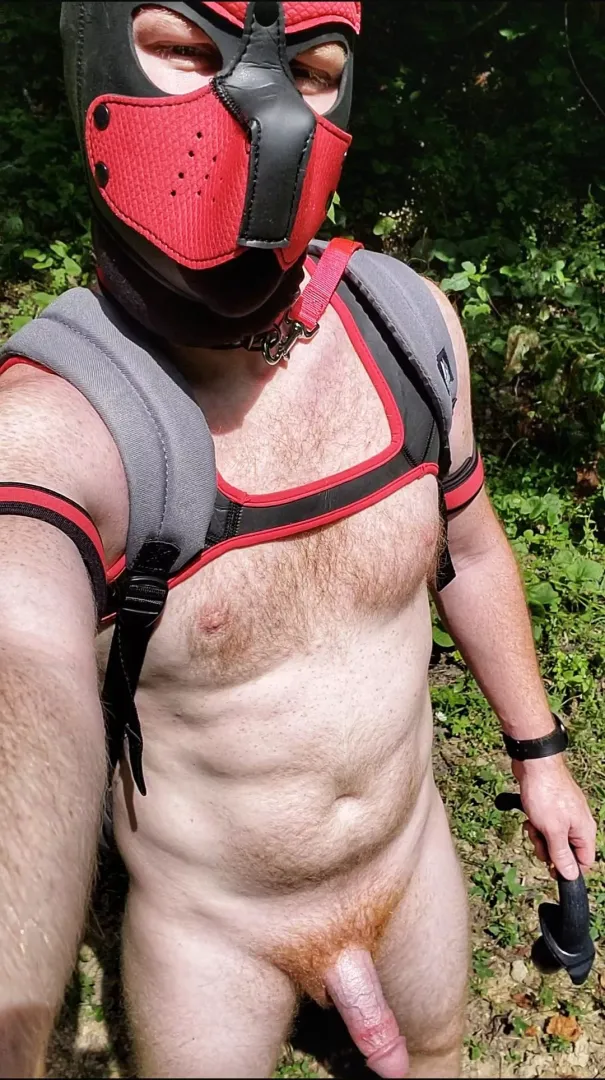 Shot from my first naked hike 🐶