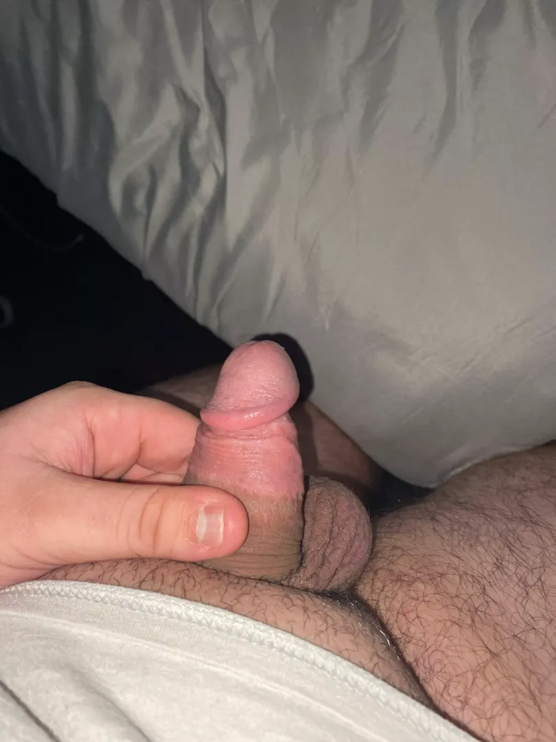 should i be put into a cage? (19)