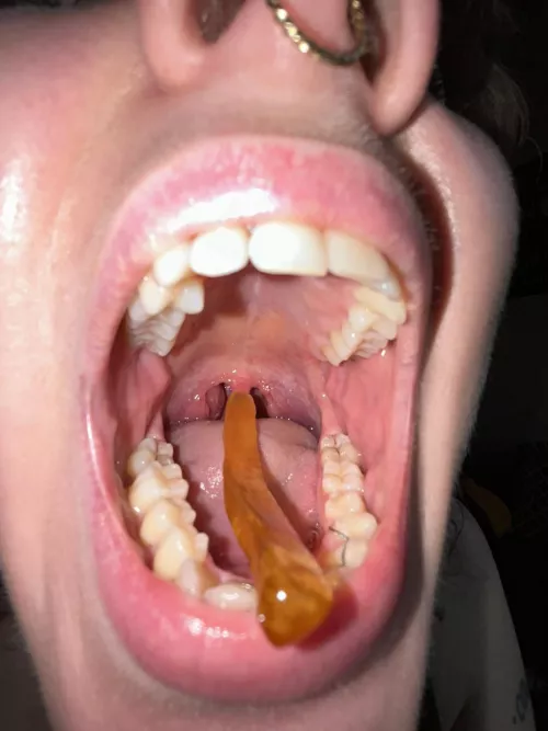Should I eat you for lunch? {f}
