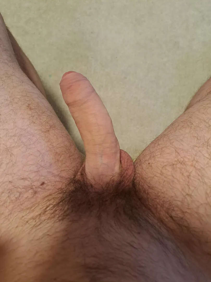 Should I post more? If yes what would you like to see?