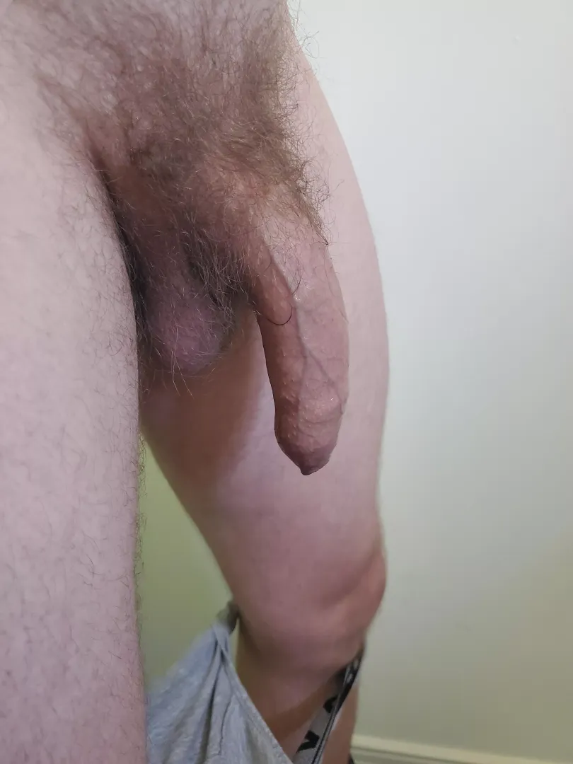 Should I shave him?