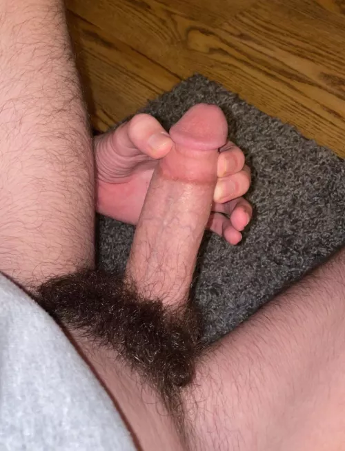 Should I trim the bush? 19