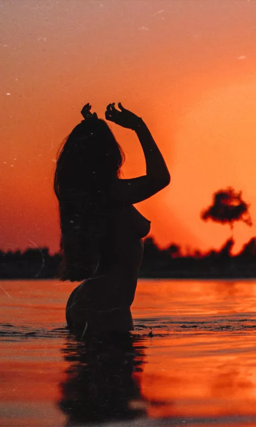 Sia silhouette