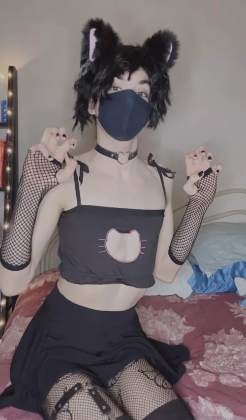 Silly catboy :p