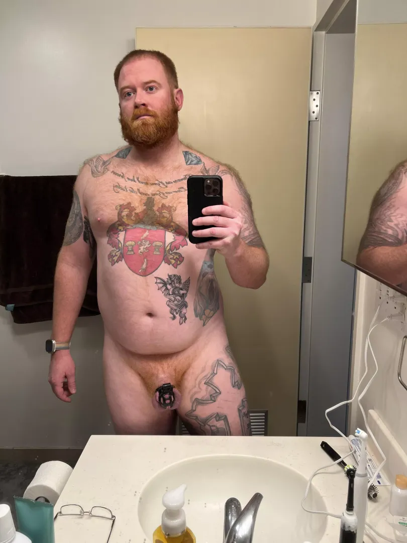 Sissy beta