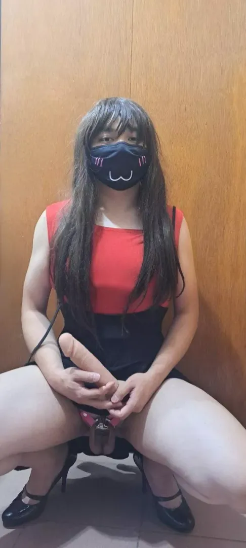 Sissy Stephy's chastity verification (29/08/23)