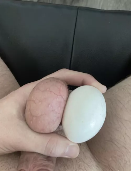 Size comparison