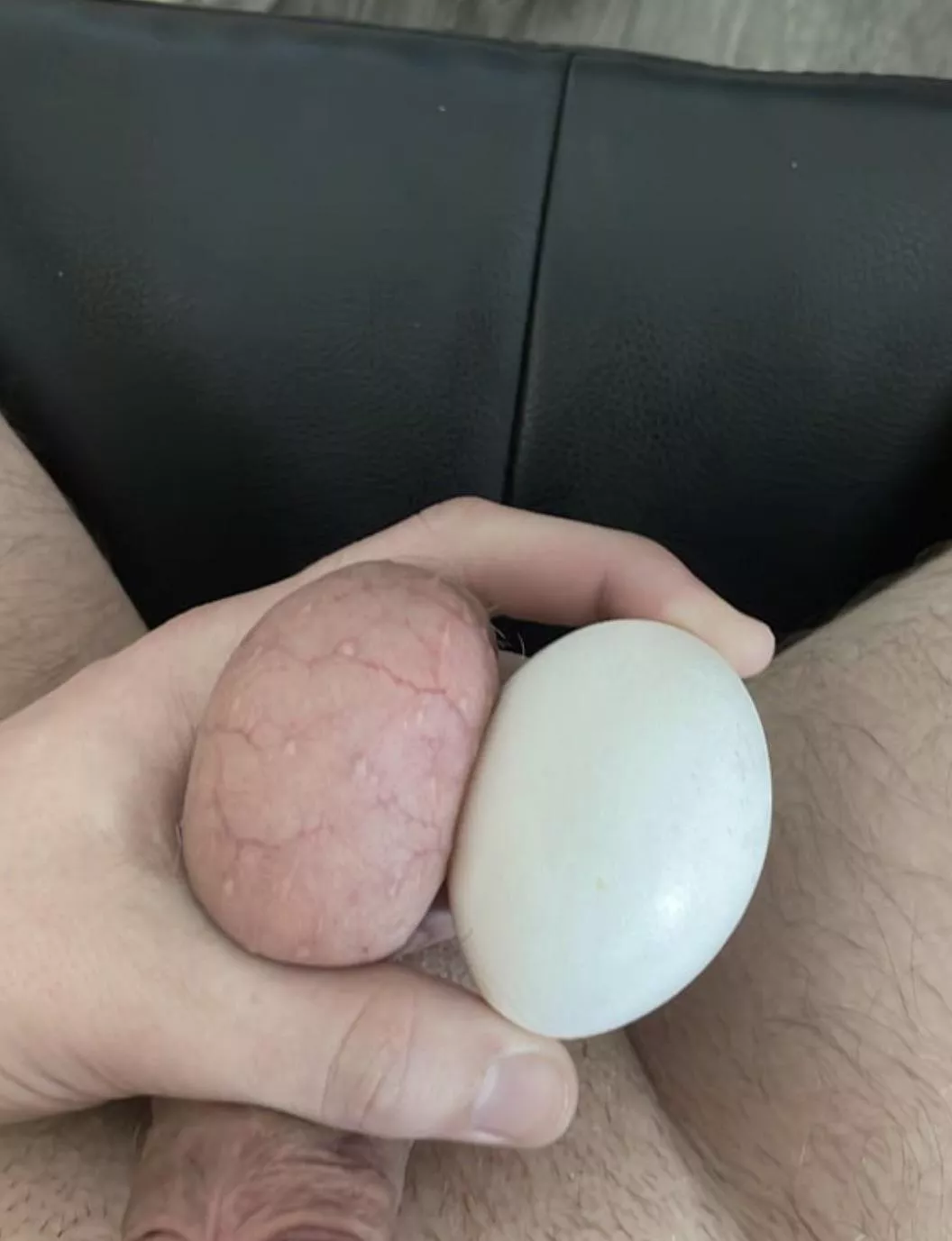 Size comparison
