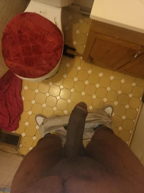 sloppy top me ms