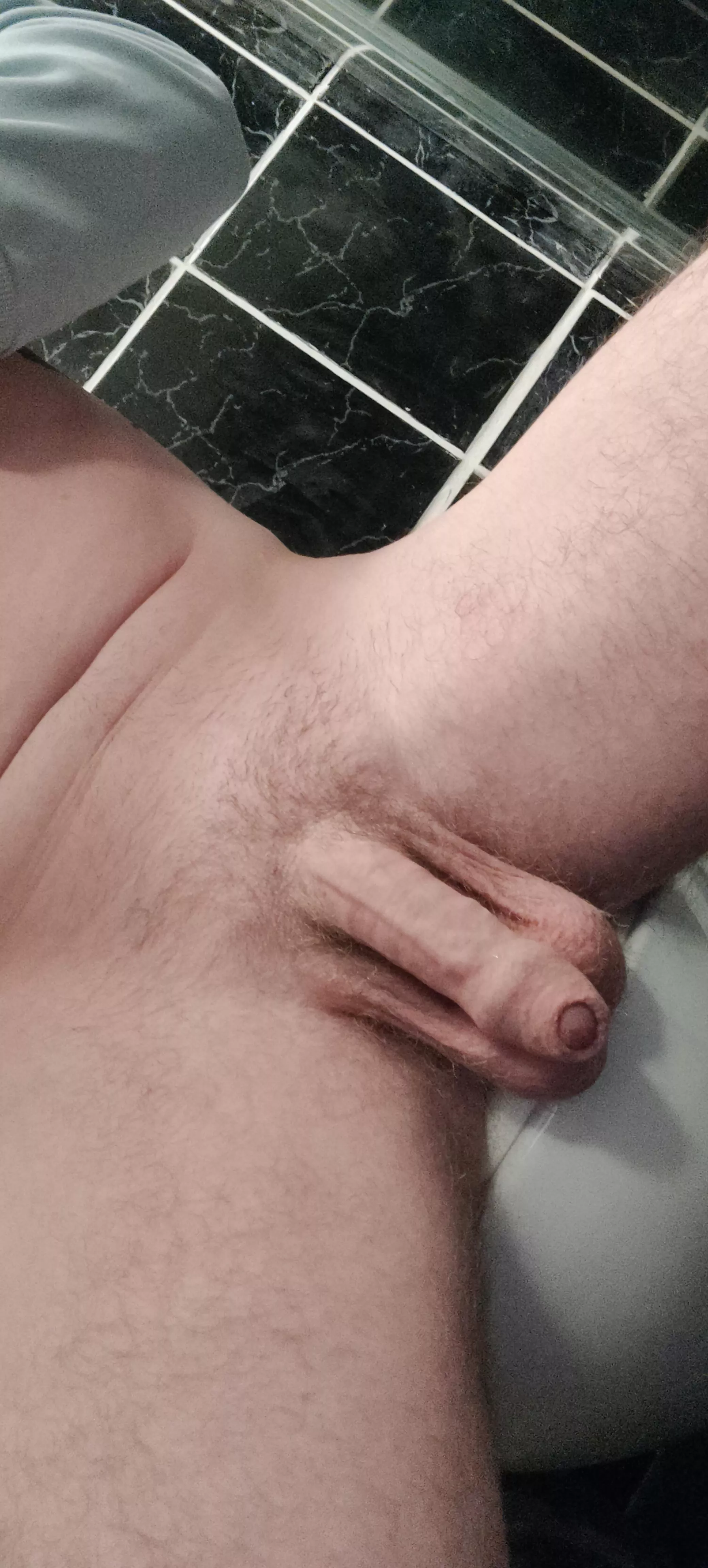 small Irish softie