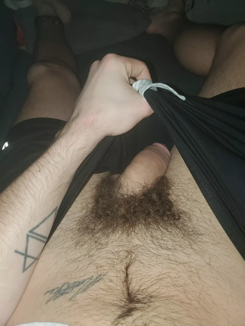 Sneak peek