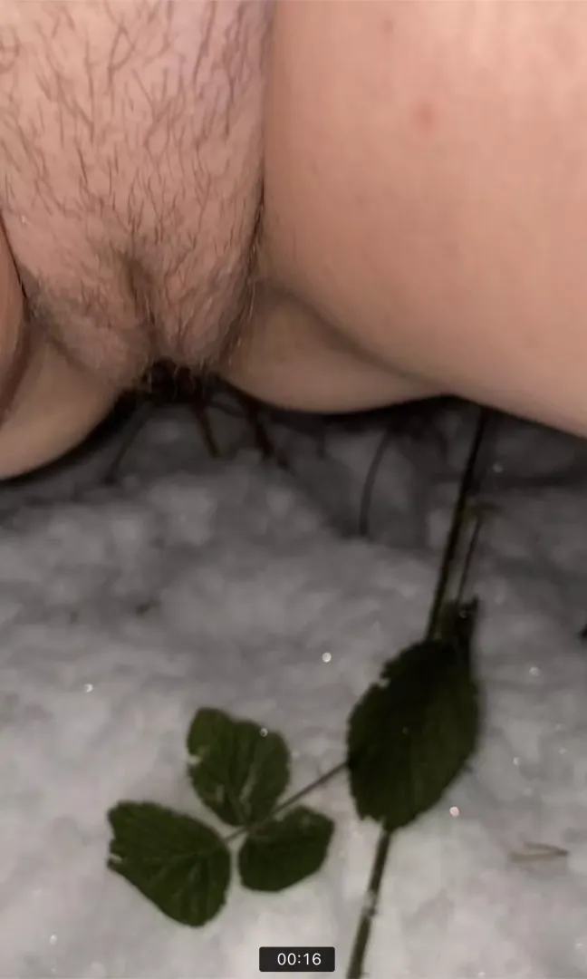 Sneaking around outside finding a spot to pee…made a big old pee hole in the snow ❄️
