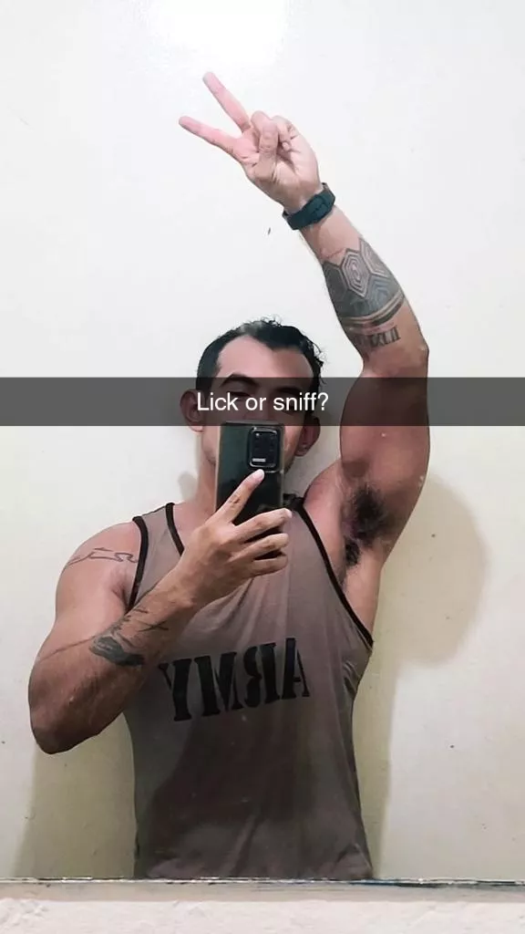 sniff or lick?