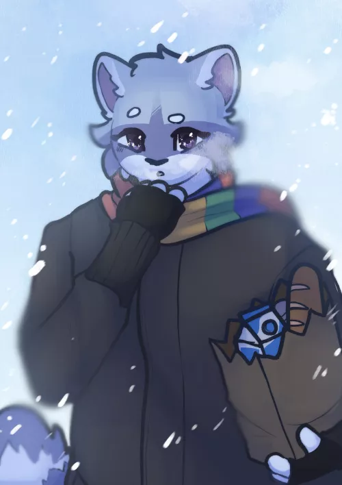Snowy days 🌨