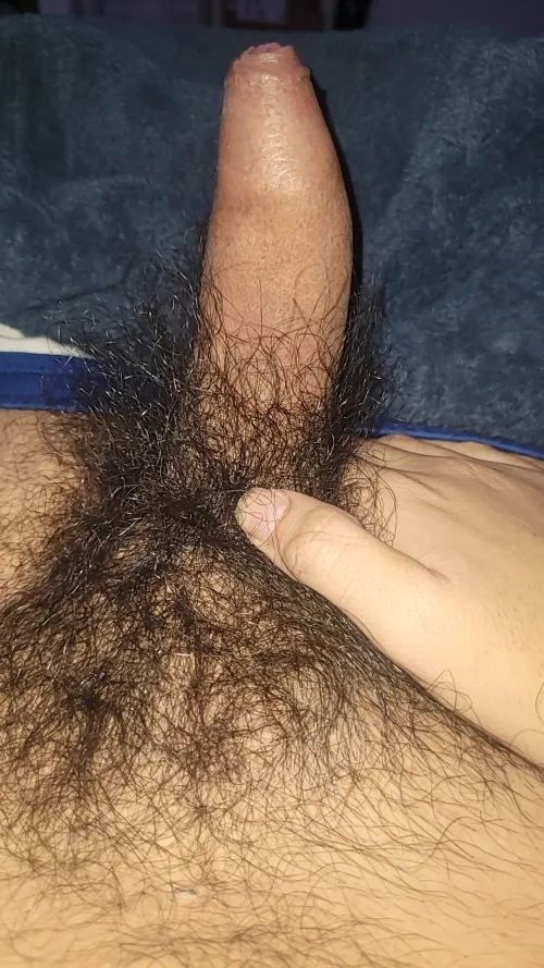 So hairy