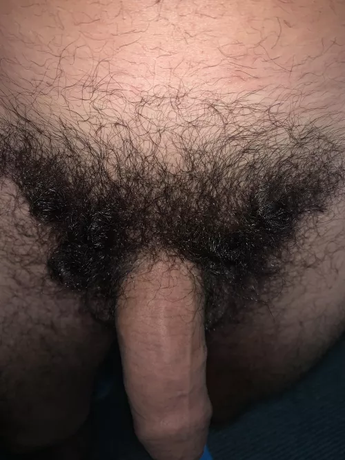 so long it curls