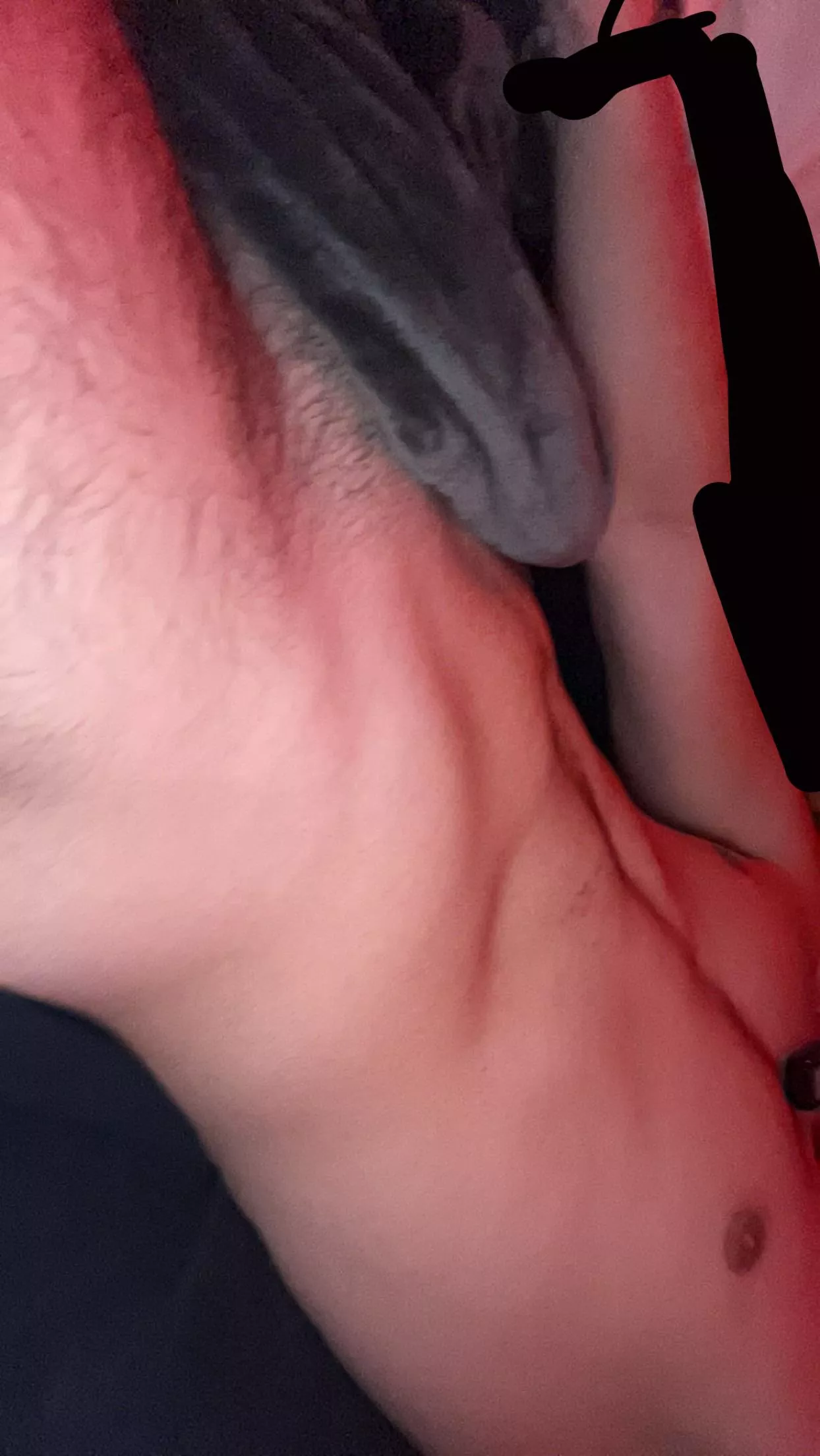 sock puppet? dm me