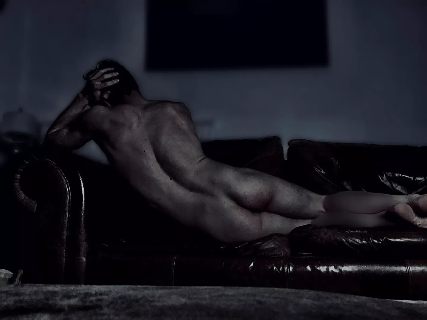 Sofa > bed