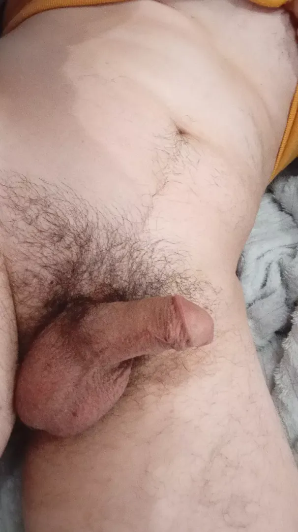 Sofa softie