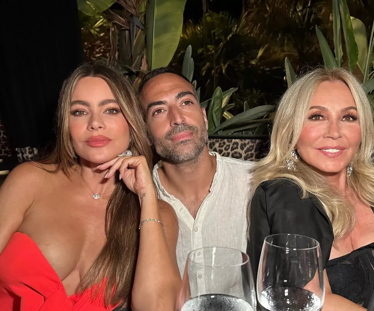 Sofia Vergara and friends