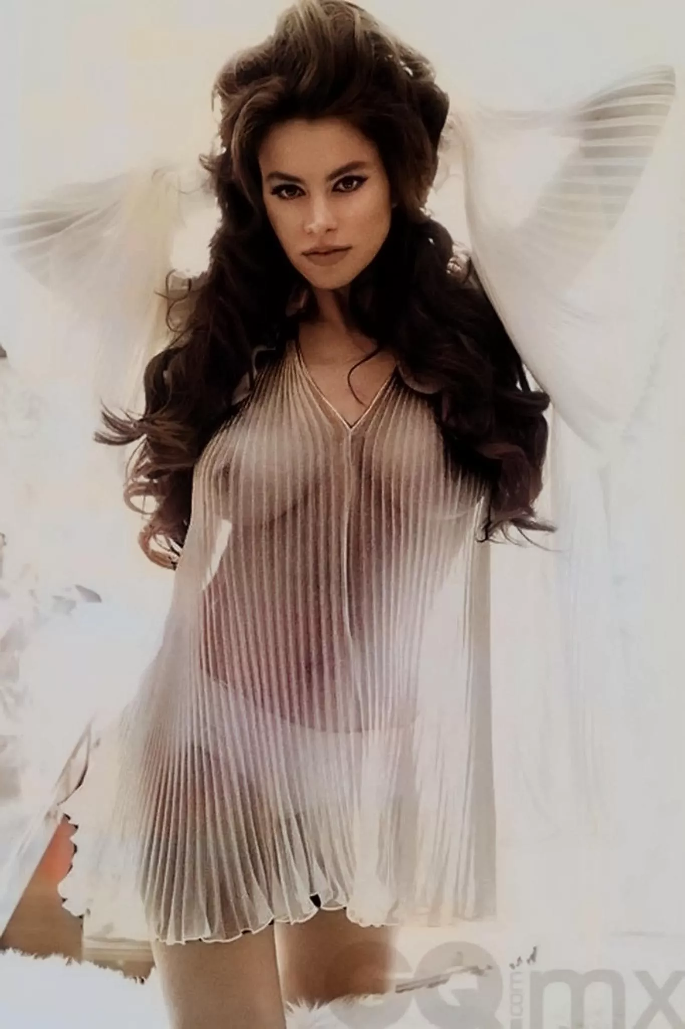 Sofia Vergara 