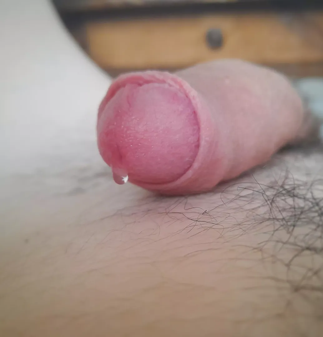 Soft little drip