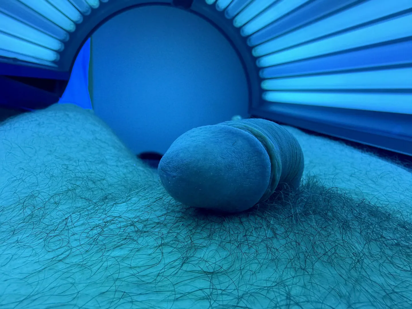 Softie in the solarium