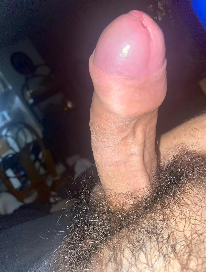 some bush & a horned-up cock 😈